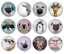 Handmade Round Photo Glass Cabochon animal 1439B