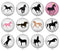 Handmade Round Photo Glass Cabochon animal 2027B