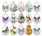 Handmade Teardrop Photo Glass Cabochons butterfly B249