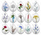 Handmade Teardrop Photo Glass Cabochons Plant flower B630