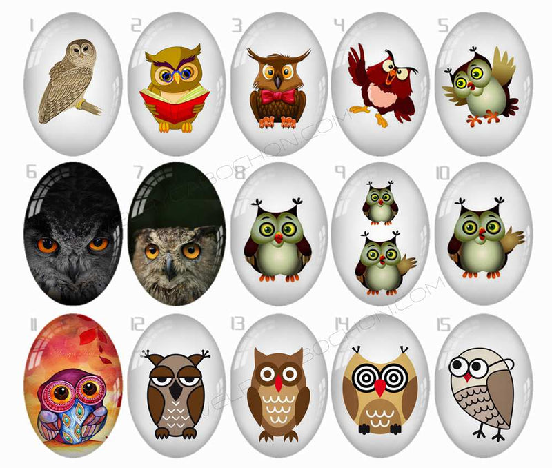 Handmade oval Photo Glass Cabochons Animal owl B508