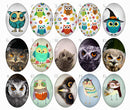 Handmade oval Photo Glass Cabochons Animal owl B510