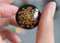 2pcs Handmade Resin 25mm Resin Cabochons,Orange real Pressed flower necklace Pendant jewelry