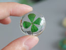 2pcs Handmade Resin 25mm Resin Cabochons,real Clover Pressed flower Pendant jewelry necklace