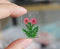 2pcs Handmade Resin real Pressed flower Pendant jewelry necklace