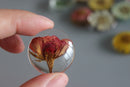 2pcs Handmade Resin 25mm Cabochons,rose real Pressed flower necklace Pendant jewelry