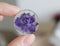 2pcs 25mm pressed flower pendant Real dried flower pendant  jewelry