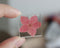 2pcs 25mm pressed flower pendant Real dried flower pendant  jewelry