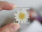 2pcs pressed flower 25mm Cabochon, Real dried flower pendant  jewelry