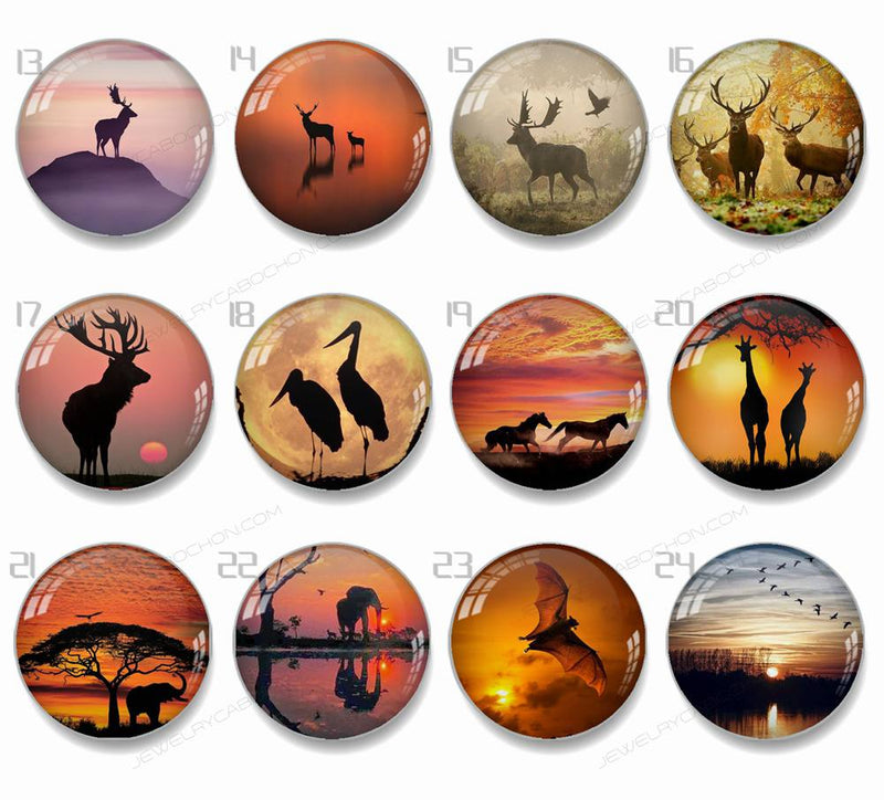 Handmade Round Photo Glass Cabachons Animal 829B