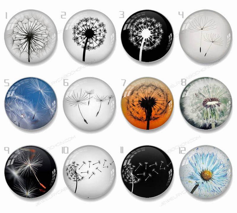 Handmade Round Photo Glass Cabachons Plant dandelion 839B