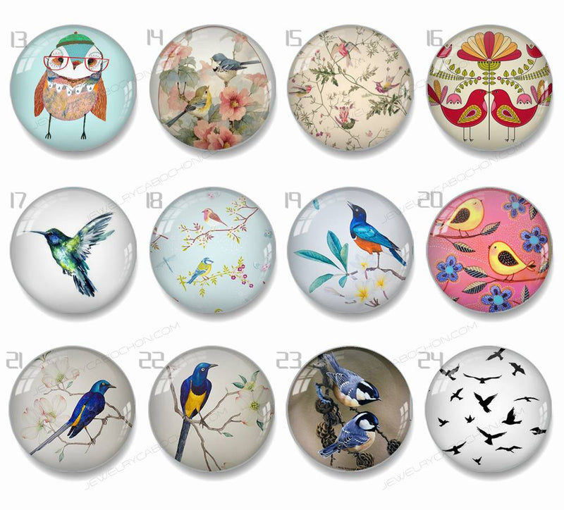 Handmade Round Photo Glass Cabachons Animal bird 849B