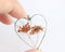 Heart Pressed Flower Pendant Necklace, Real Dried Flower Resin Jewellery