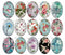 Handmade Teardrop Photo Glass Cabochons flower 805 B