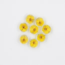 10pcs 12mm glass Pressed flower Pendant