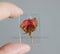 2 pieces rose pressed flower jewelry, pressed flower pendant, Real dried flower jewelry wholesale