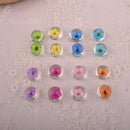 10pcs 12mm glass Pressed flower Pendant