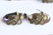 5pcs bracelet blanks,10-20mm Bracelet Settings, Bezel Bangle Bracelet Bases