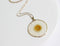 1pcs Crystal Chrysanthemum pressed flower pendant necklace jewelry