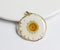 1pcs Crystal Chrysanthemum pressed flower pendant necklace jewelry