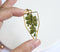 1pcs Handmade Leaves pressed flower pendant jewelry Rectangle 21x34mm