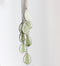 1pcs  Teardrop Resin Leaves pressed flower pendant necklace, Real dried flower jewelry