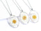 1pcs Handmade flower jewelry,Chrysanthemum Oval  pressed flower pendant necklace