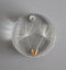 2pcs Handmade Dandelion Resin 25mm Pressed flower necklace Pendant jewelry