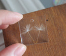 2pcs 25mm square Handmade Resin real Dandelion Pressed flower Pendant jewelry necklace